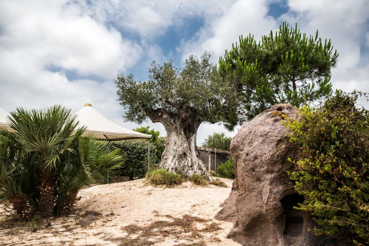 SantʼAntìoco B&B Il Cenerino المظهر الخارجي الصورة